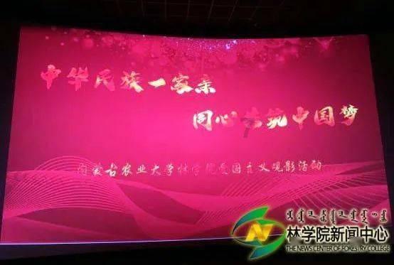 植物大战僵尸12